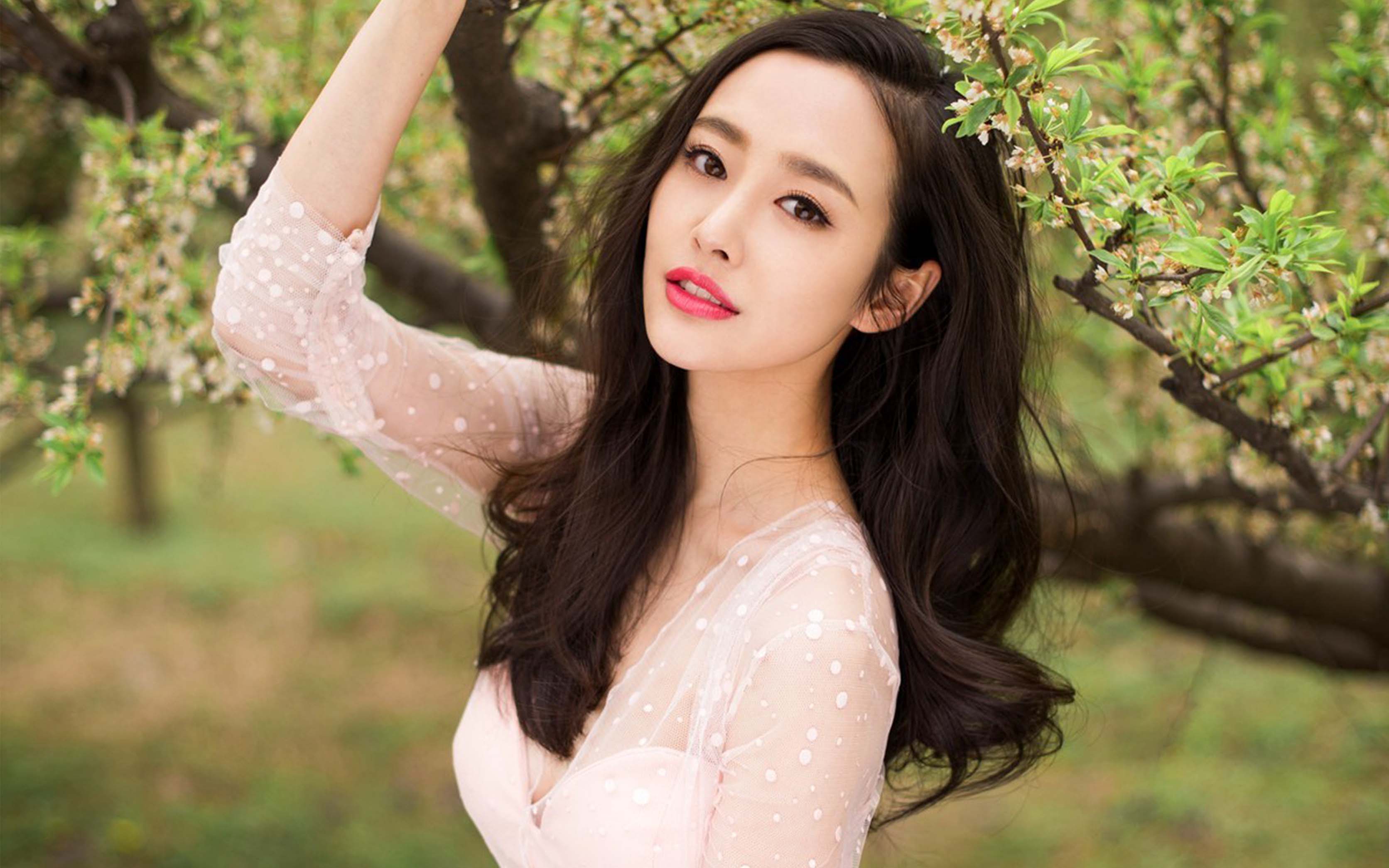 李纯出演的电视剧有哪些